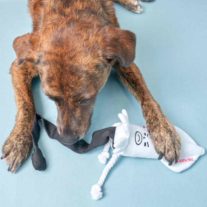 Hundespielzeug - Schnüffelspielzeug Calamari