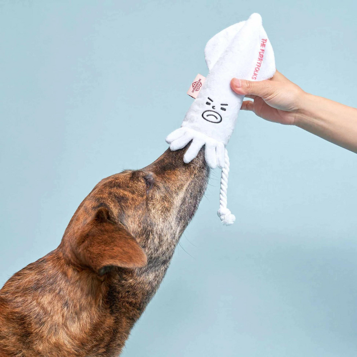Hundespielzeug - Schnüffelspielzeug Calamari