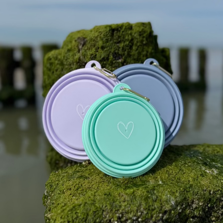 Foldable ToGo dog bowl with carabiner – 350 ml / 650 ml