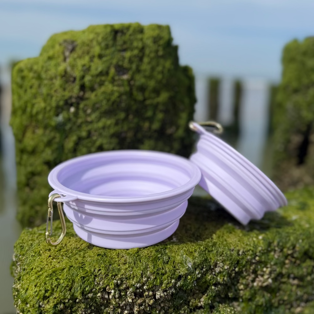 Foldable ToGo dog bowl with carabiner – 350 ml / 650 ml