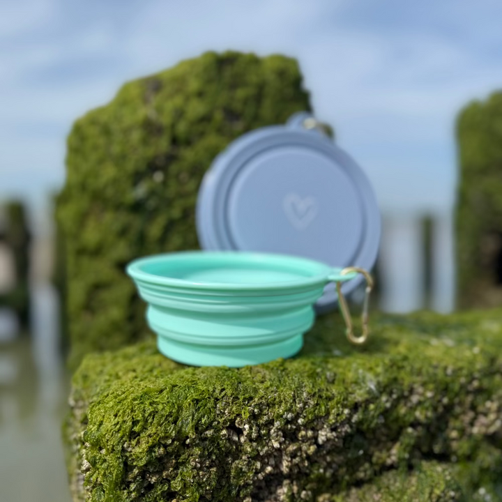 Foldable ToGo dog bowl with carabiner – 350 ml / 650 ml