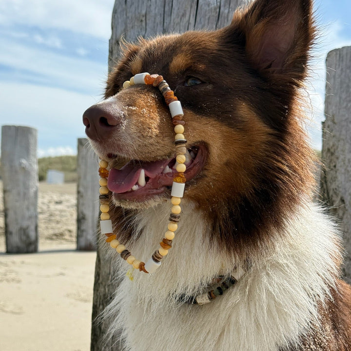 Ketting amber-kokos EM 3in1 Editie