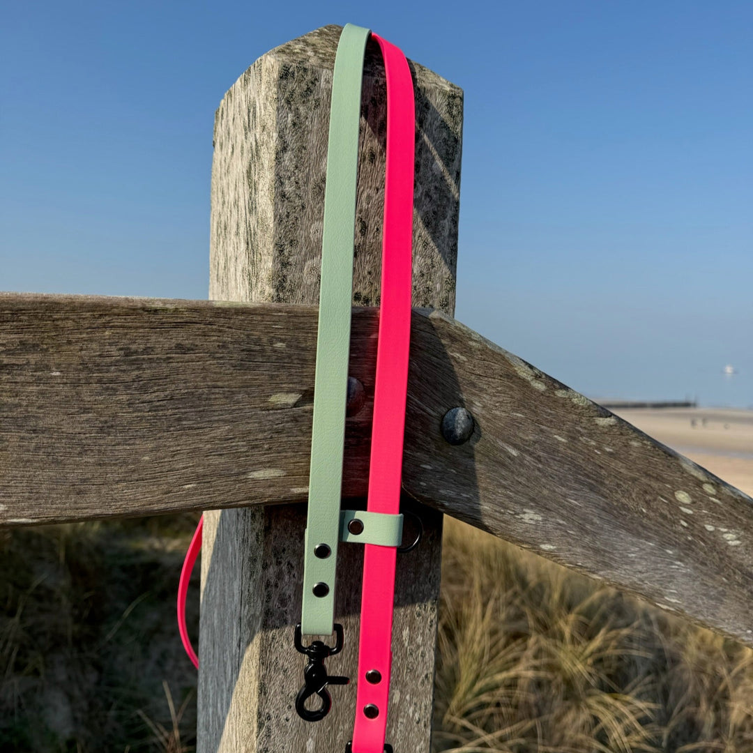 BETA-BIOTHANE® LEINE HANDSFREE