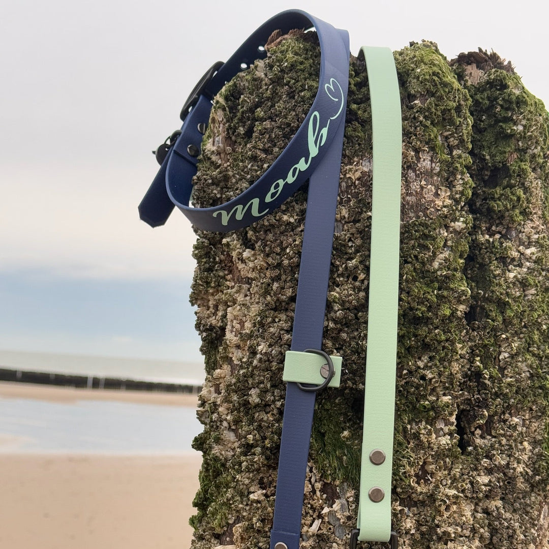BETA-BIOTHANE® LEINE HANDSFREE