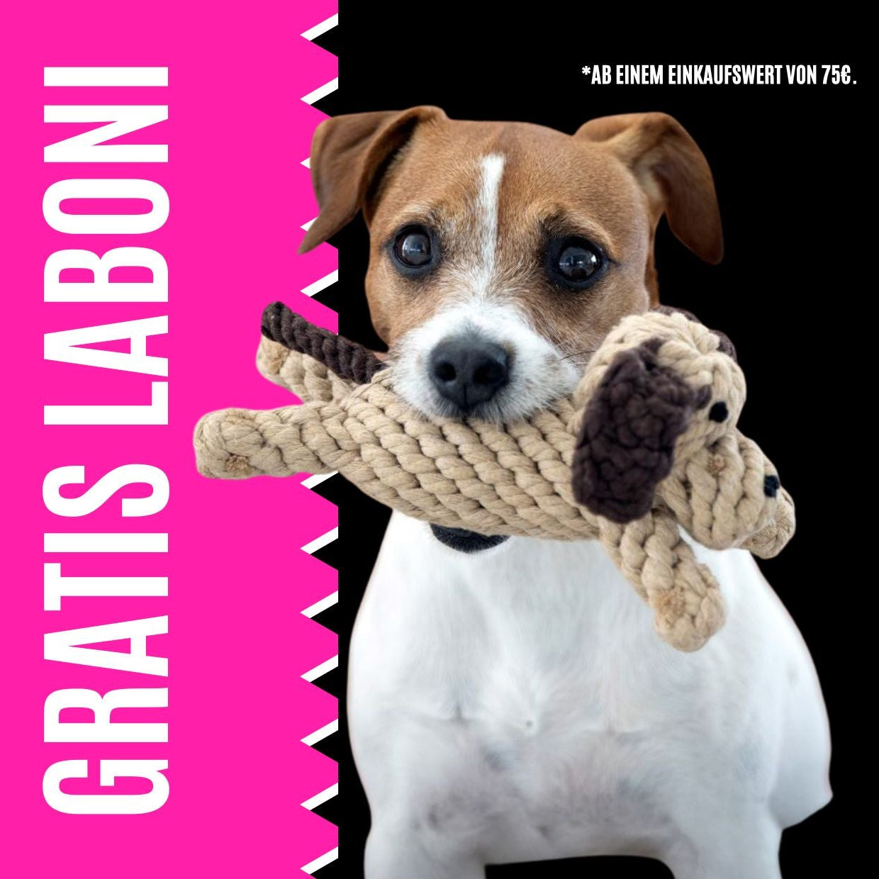 Überraschungs-Laboni – Dogsmopolitan