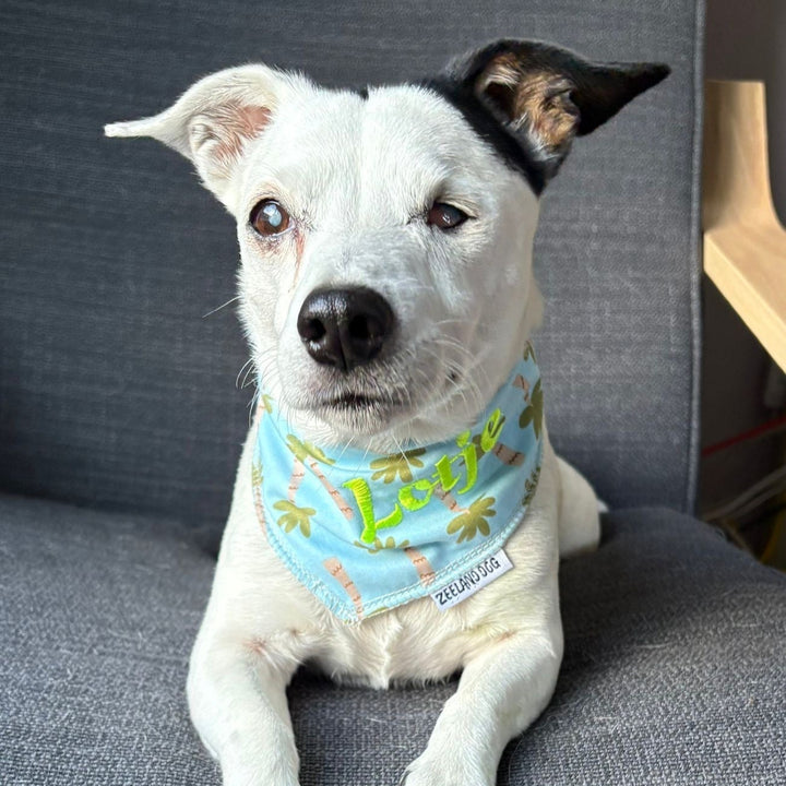 Zeeland Dog Scarf Lemon