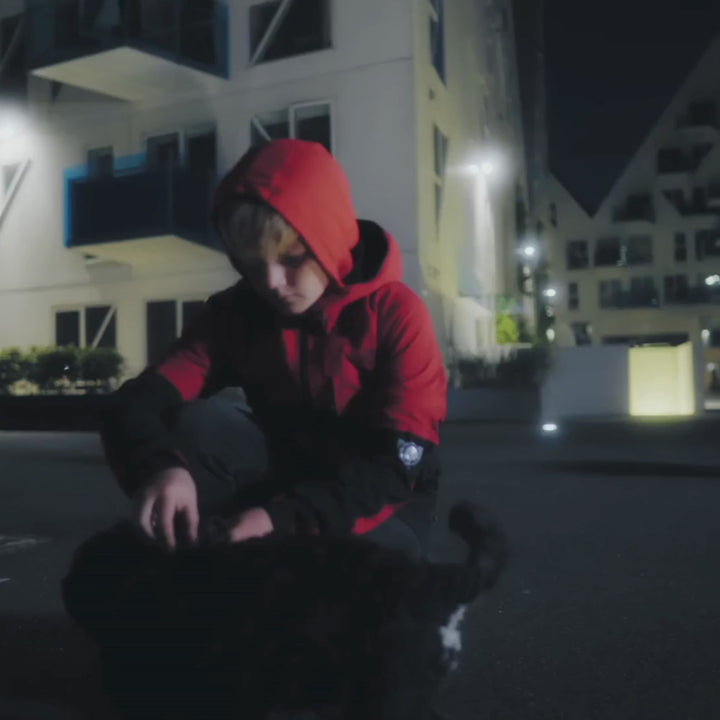 Sicherheitslicht für Hunde zur Befestigung an Halsband oder Geschirr