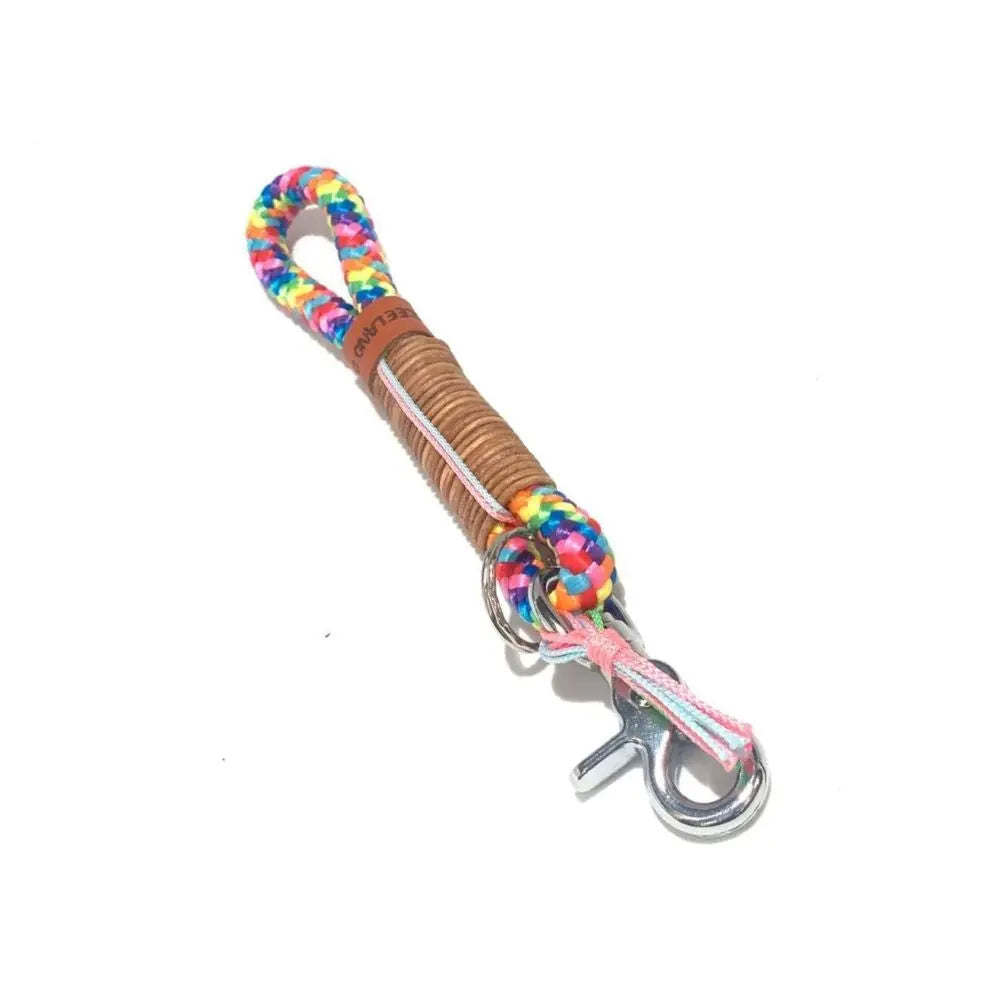 Zeeland Dog Schlüsselanhänger Rainbow Jetzt erhältlich bei Dogsmopolitan