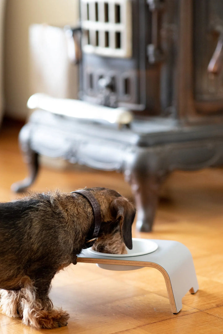 DOGBAR DESIGN-FUTTERSTATION GR. S-large Jetzt erhältlich bei  Dogsmopolitan
