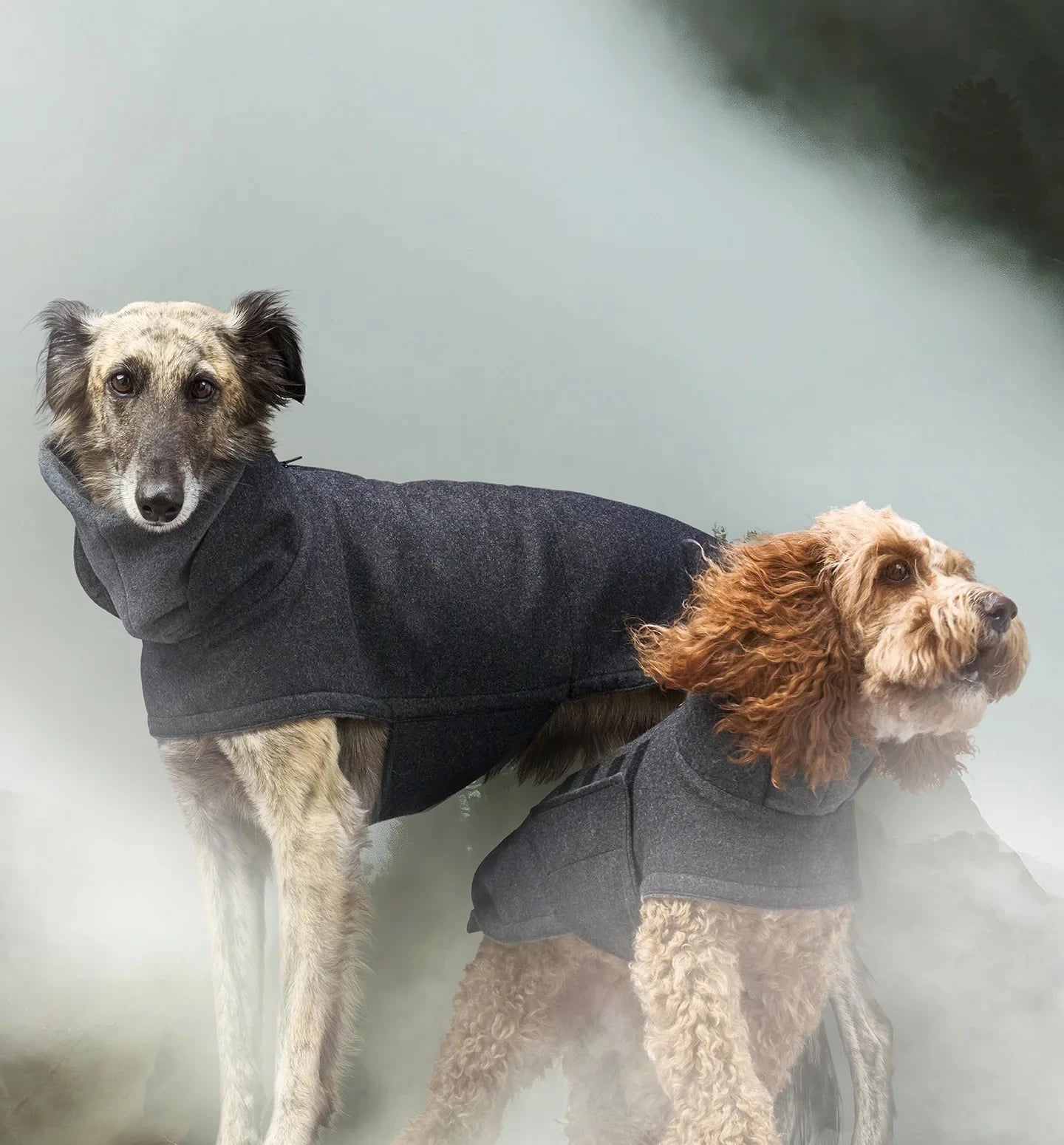 Kentucky Wasserdichter Hundemantel In Koralle, Größe L (56 Cm) – Warm, Leicht & Stylisch