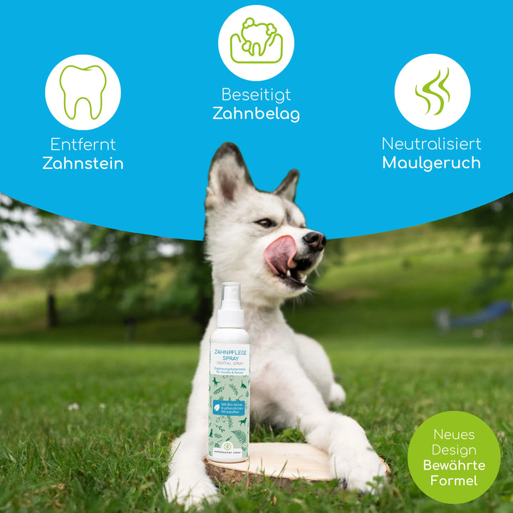 Dentalspray - Zahnpflege Spray mit Bio Minze