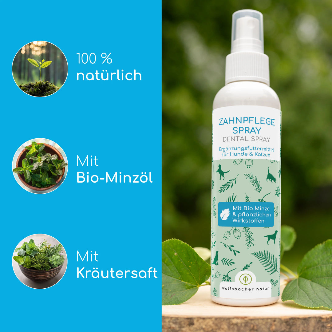 Dentalspray - Zahnpflege Spray mit Bio Minze