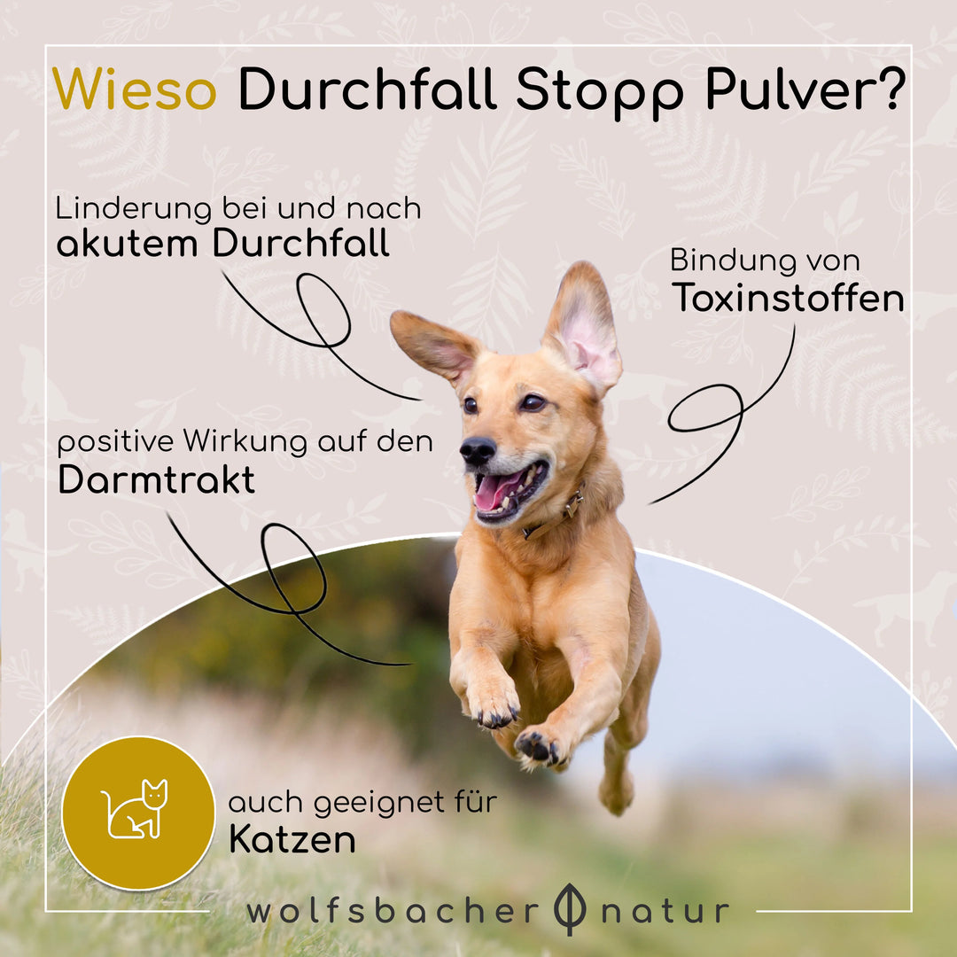 Durchfall Stopp Pulver