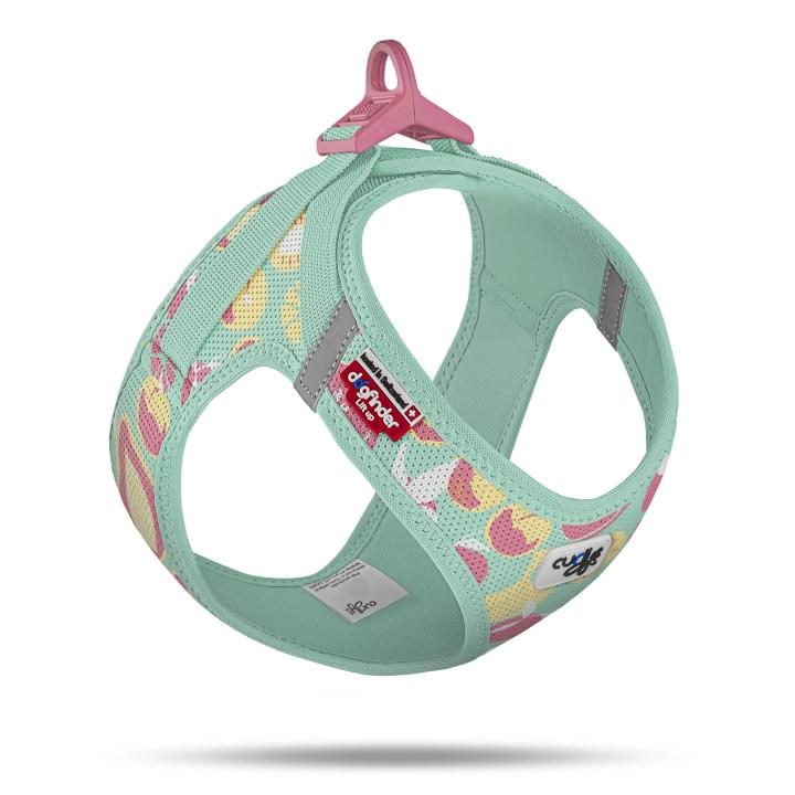 Curli Geschirr Limited Edition Juicy Fruits Turquoise