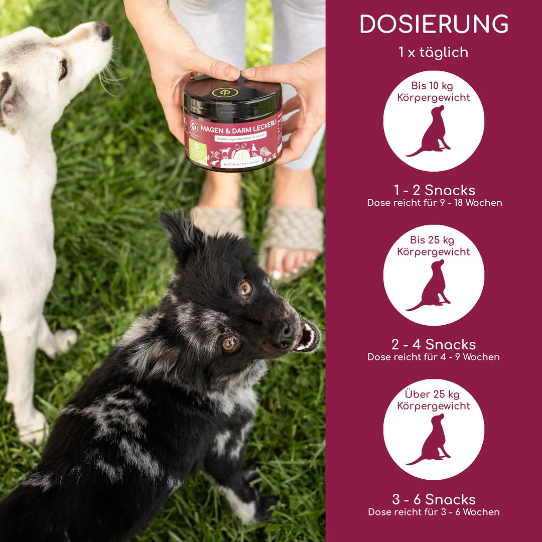 Magen & Darm Snacks für Hunde