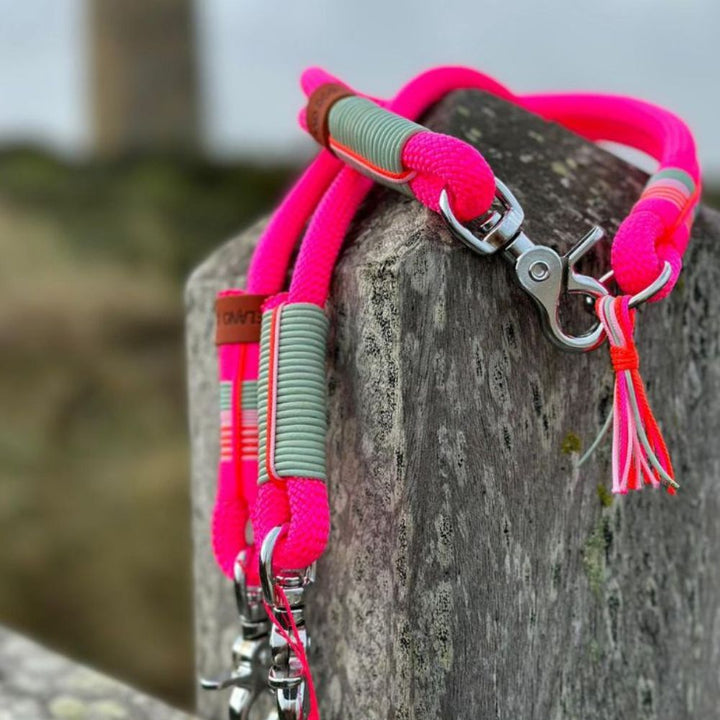 ZEELAND DOG Cici´s & Mimi´s Collection Hot Pink Edition Jetzt erhältlich bei  Dogsmopolitan