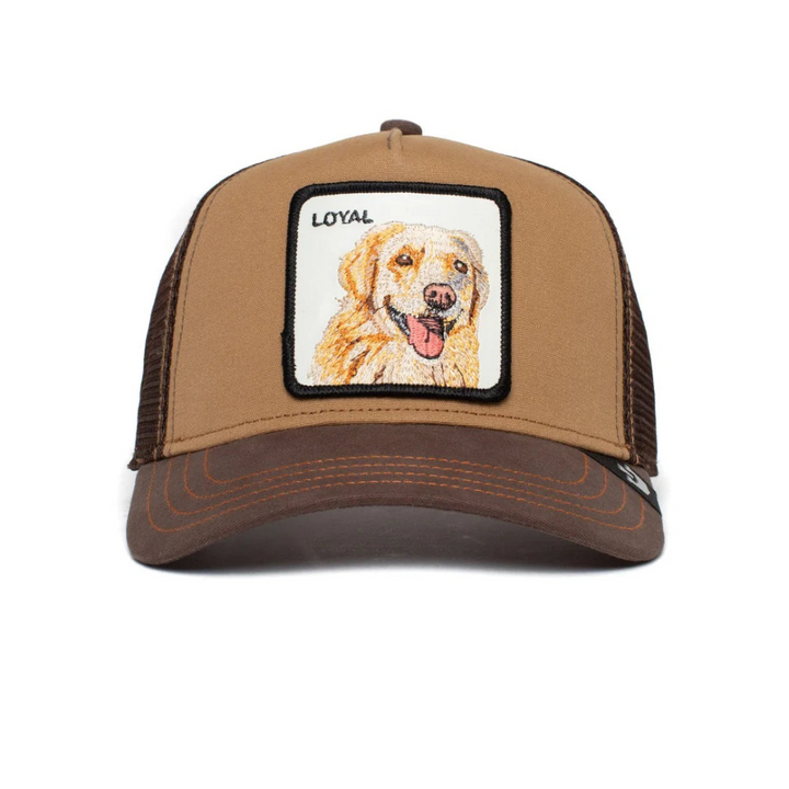 Goorin Bros Cap Golden Retriever