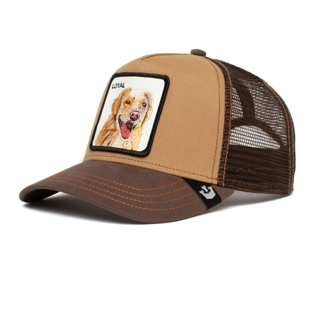 Goorin Bros Cap Golden Retriever