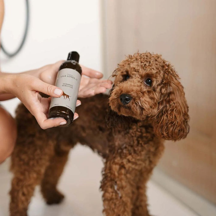 SHAMPOO SENSITIVE FÜR WELPEN &amp; EMPFINDLICHE HUNDE