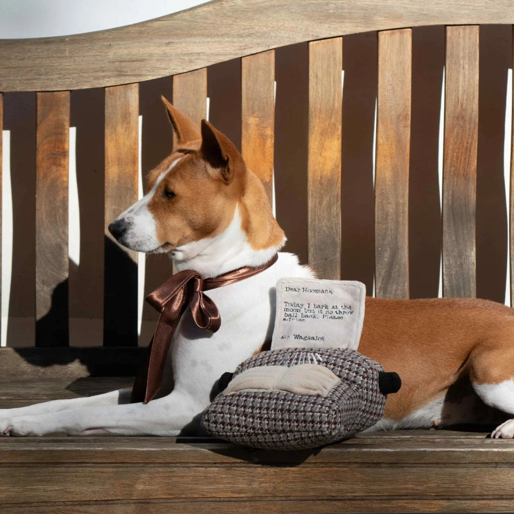 Hundespielzeug Schreibmaschine