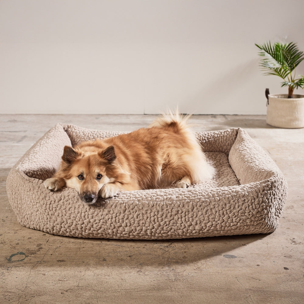 Hundebett - BELLAGIO