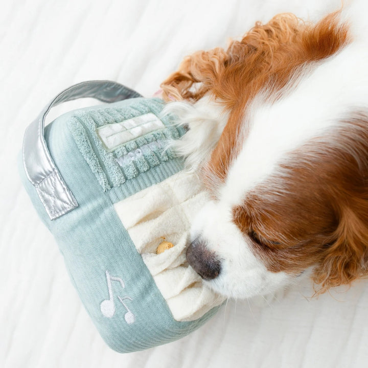 Hundespielzeug FM-Radio