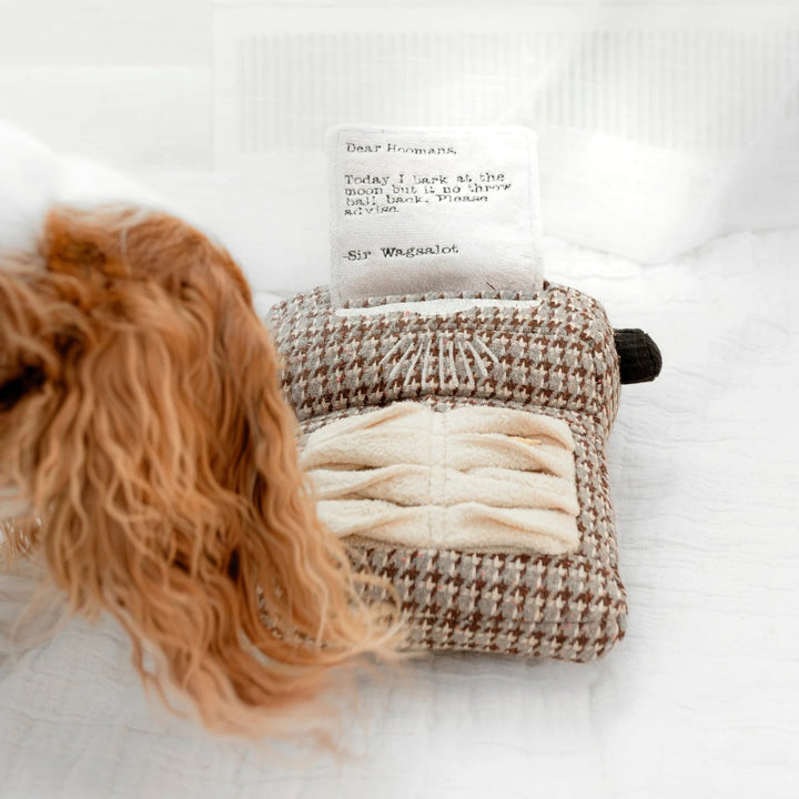 Hundespielzeug Schreibmaschine