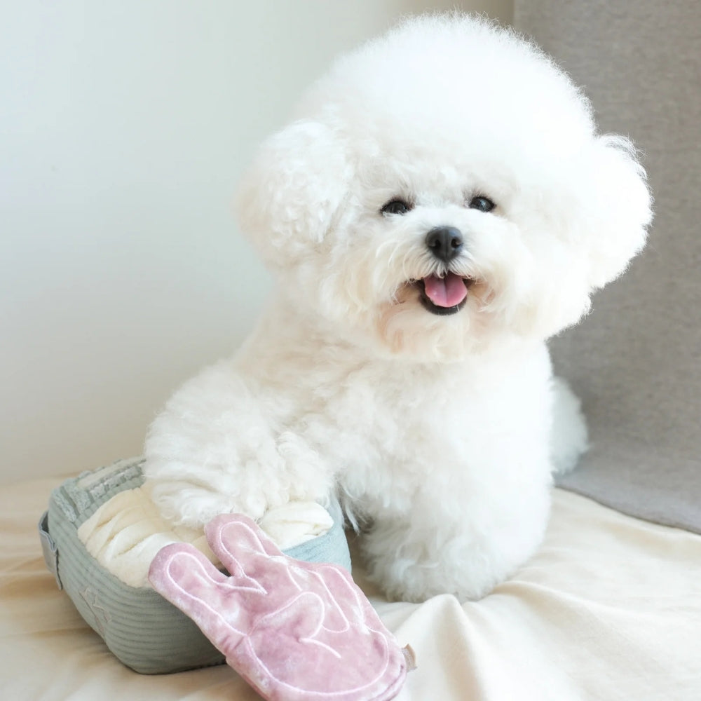 Hundespielzeug FM-Radio