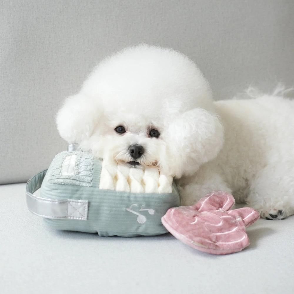 Hundespielzeug FM-Radio