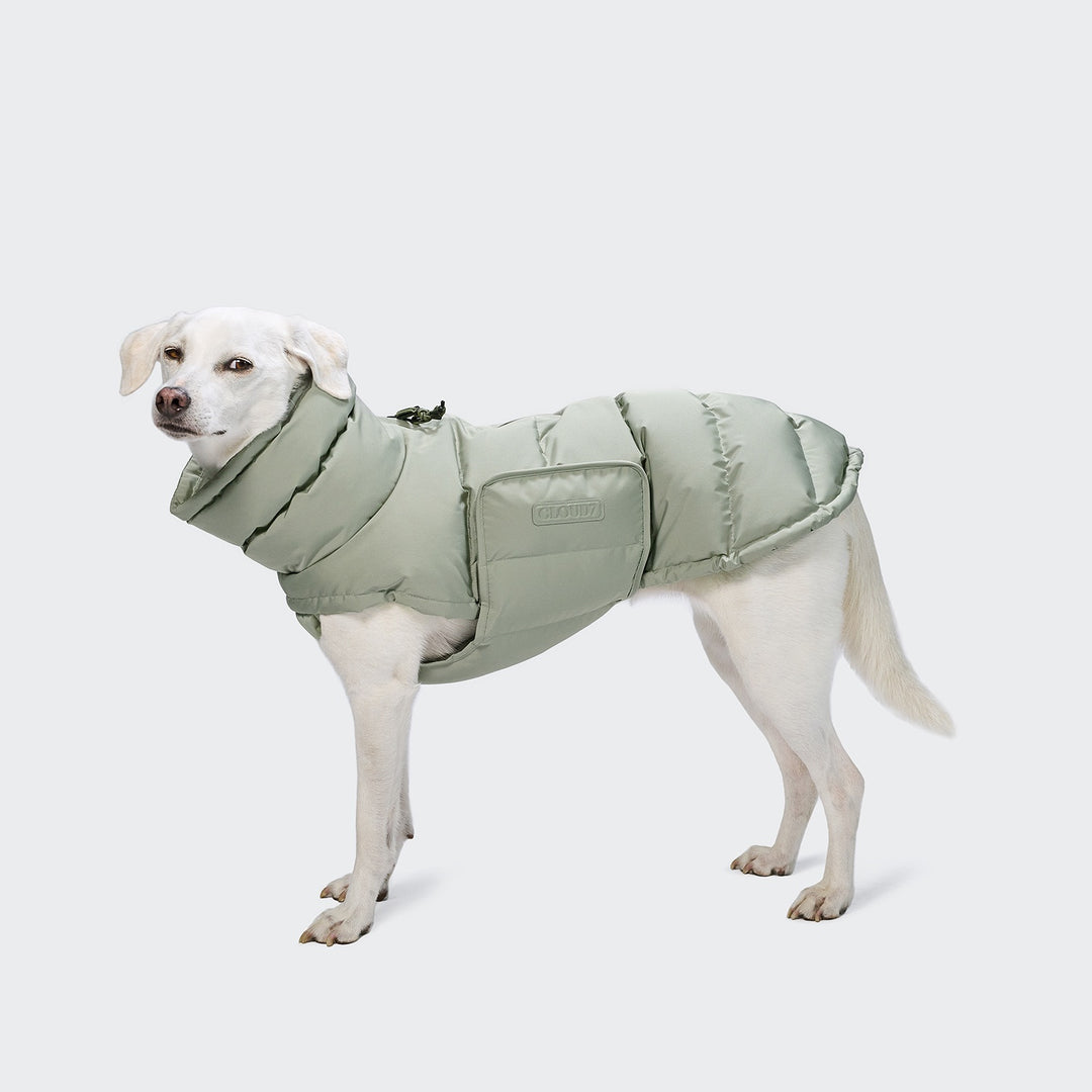 Hundemantel Alaska Dusty Mint