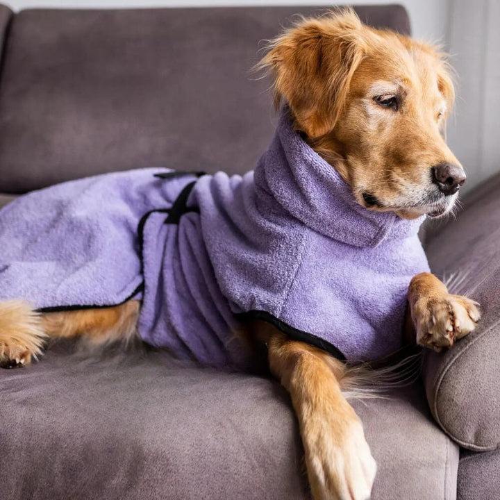 Dog bathrobe lavender 