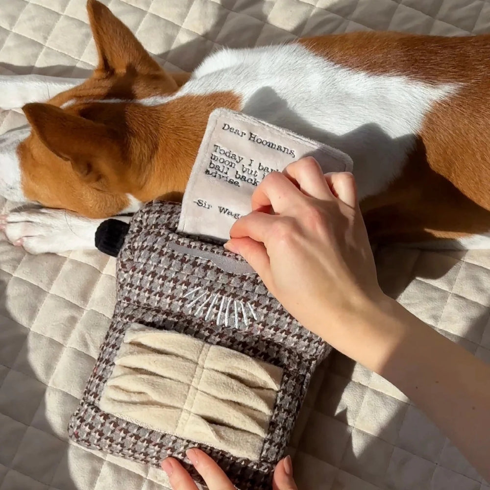 Hundespielzeug Schreibmaschine