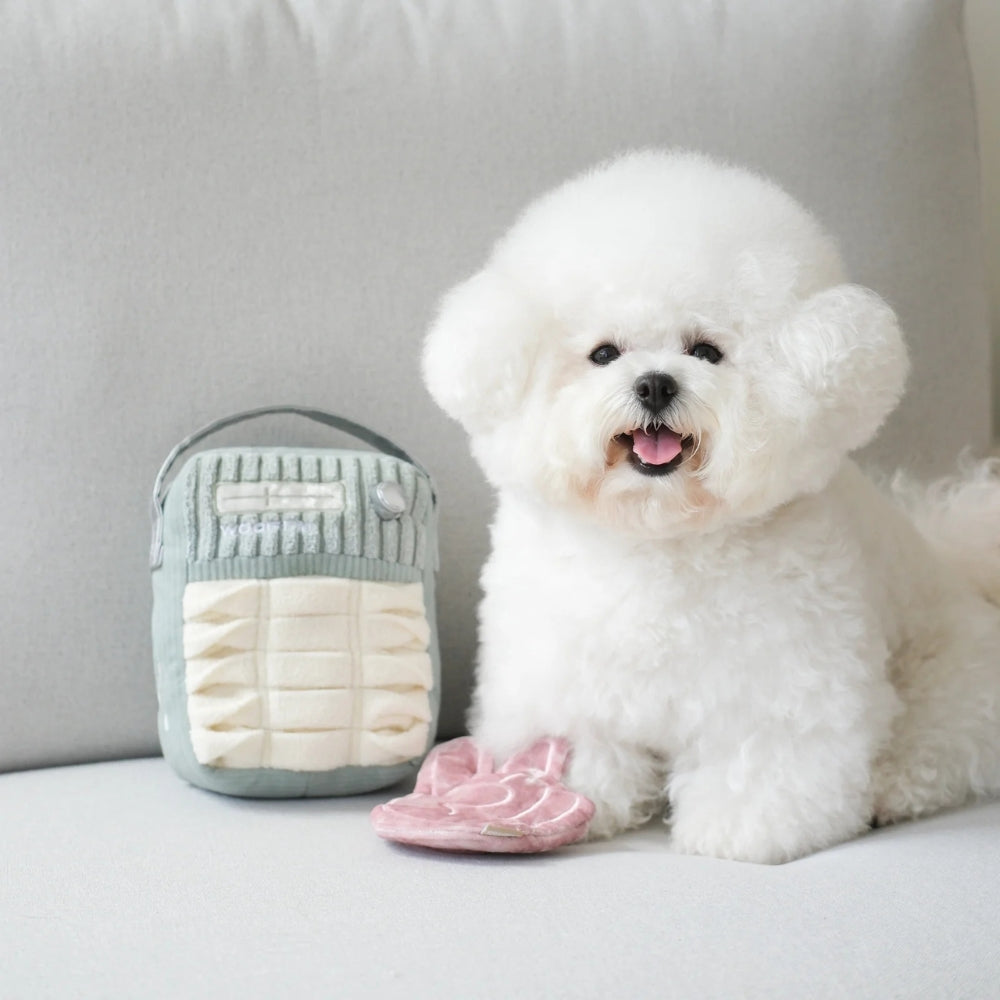 Hundespielzeug FM-Radio