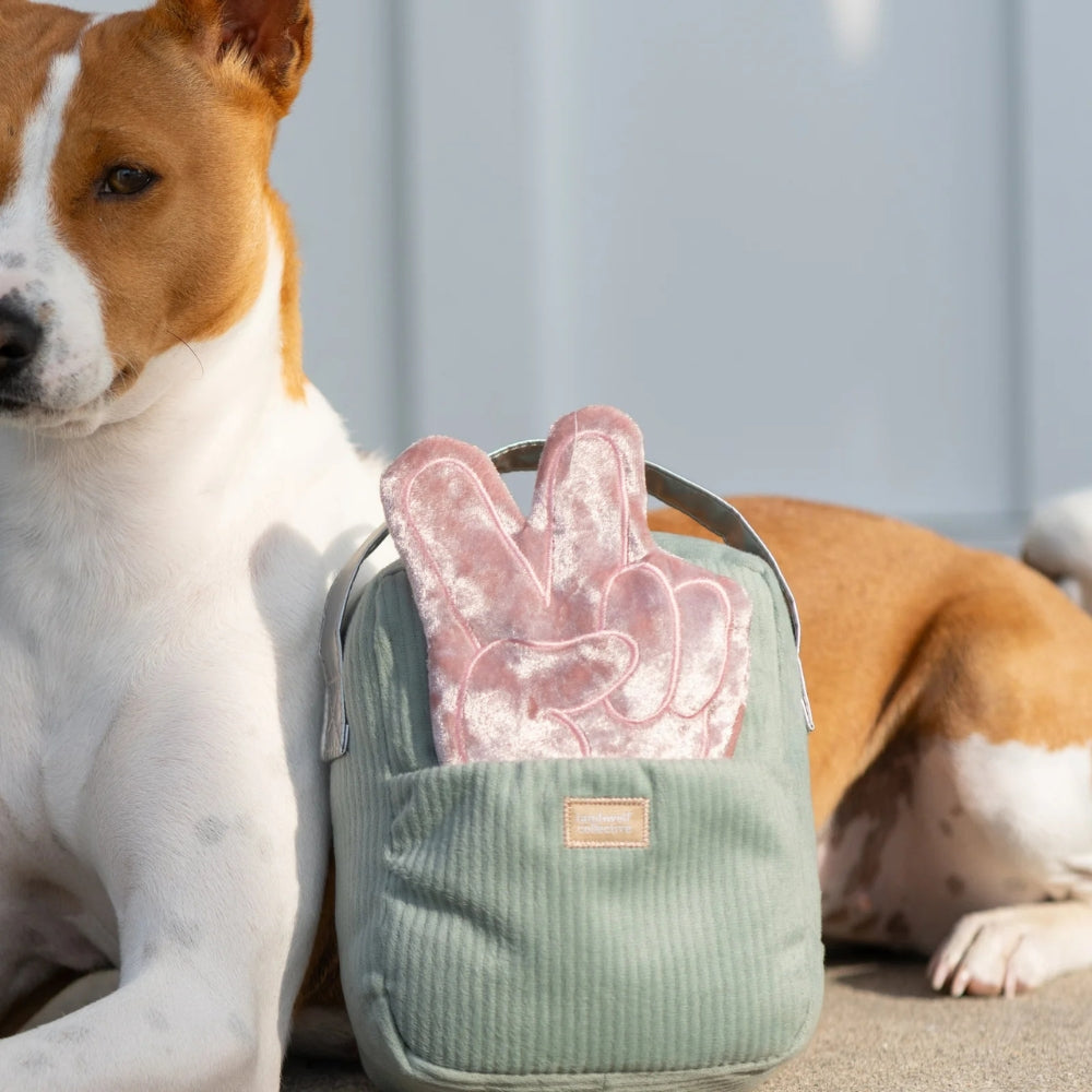 Hundespielzeug FM-Radio