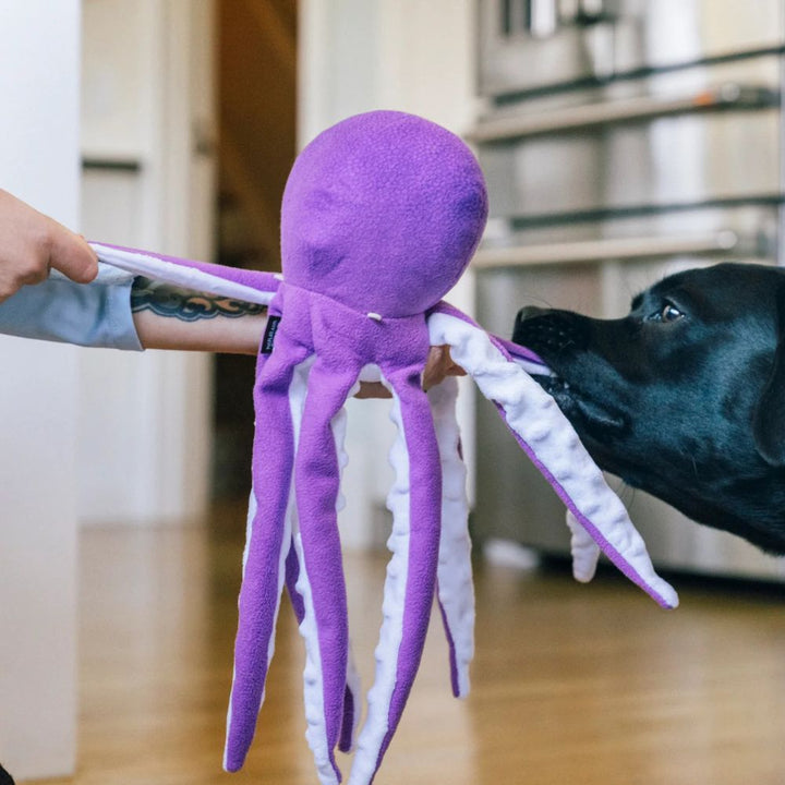 Hundespielzeug Meeresfreunde Opal der Oktopus