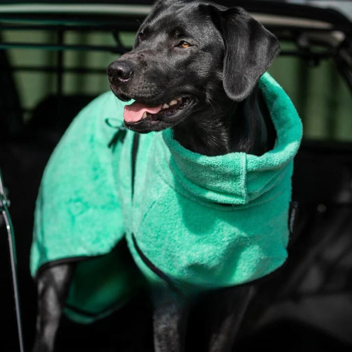 Dog Bathrobe Mint