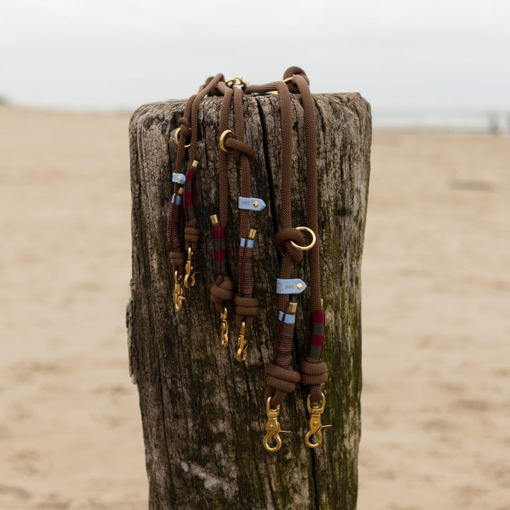 Tauleine Classy Coast