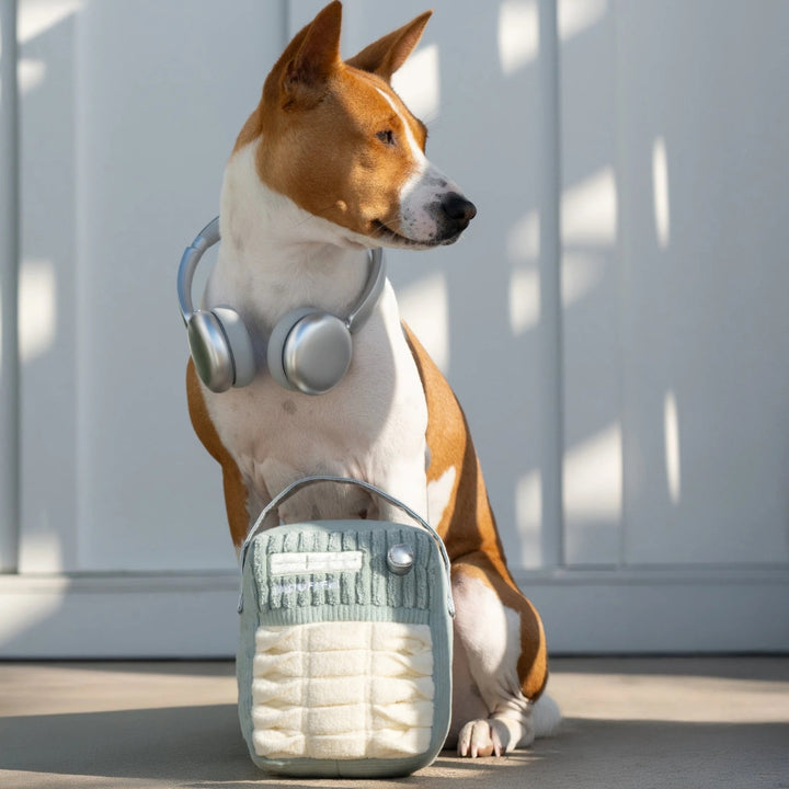 Hundespielzeug FM-Radio