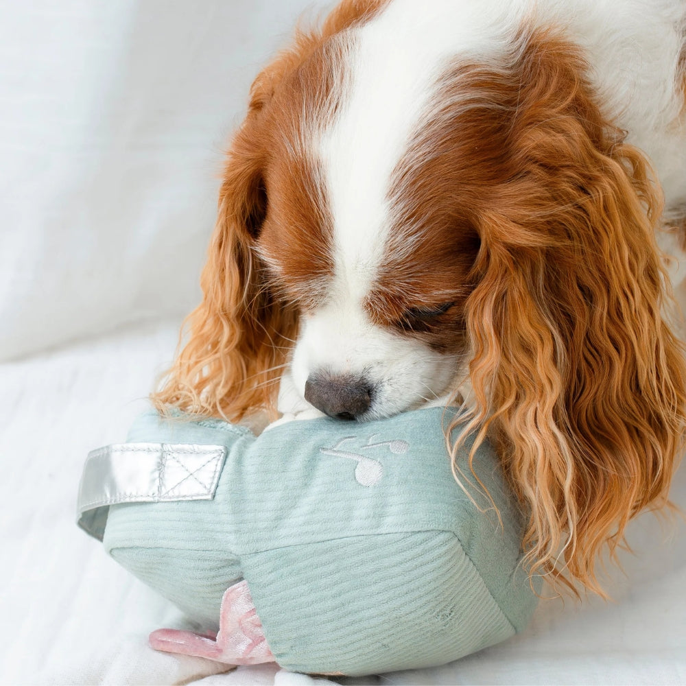 Hundespielzeug FM-Radio