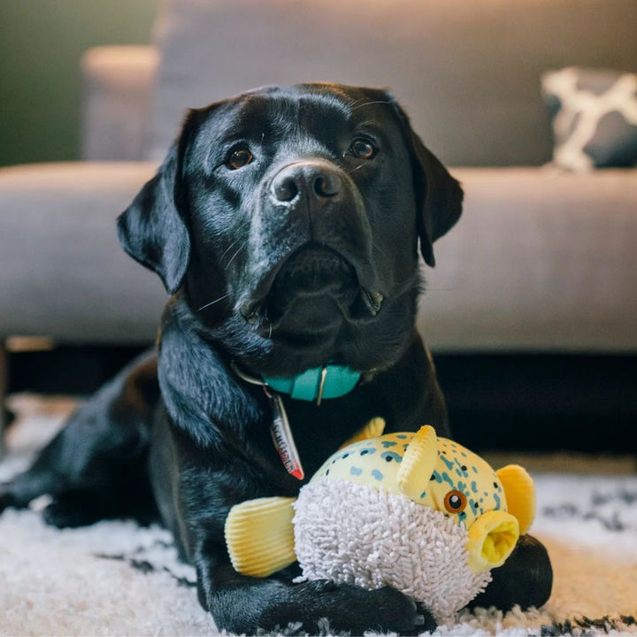 Hundespielzeug Meeresfreunde Kugelfisch