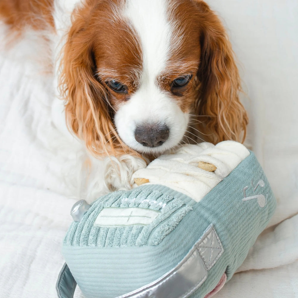 Hundespielzeug FM-Radio