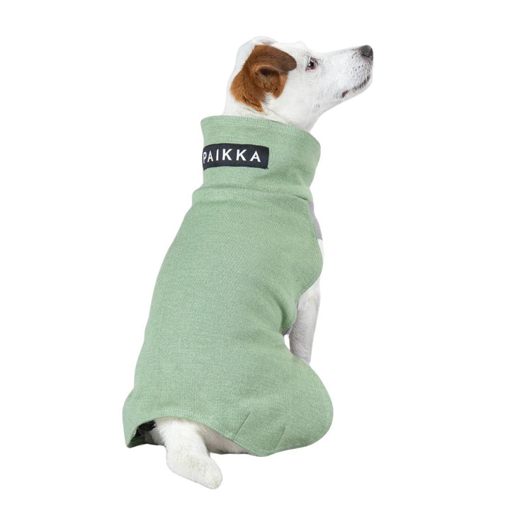 Hundepullover PAIKKA Recovery Winter Shirt Grün