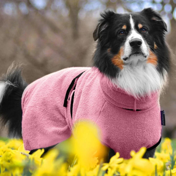 Dog bathrobe rose