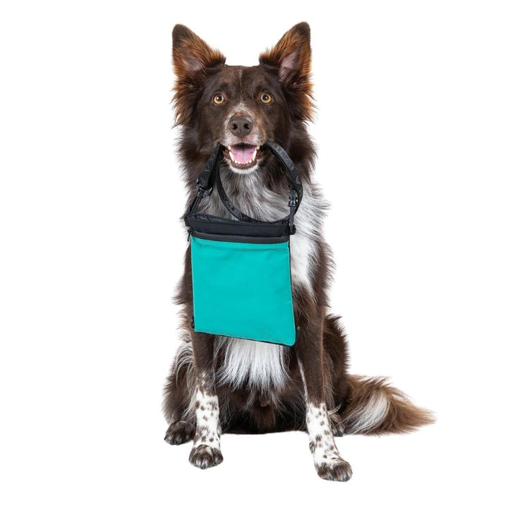 Hunde Leckerlitasche / Gassitasche Visibility Emerald von Paikka