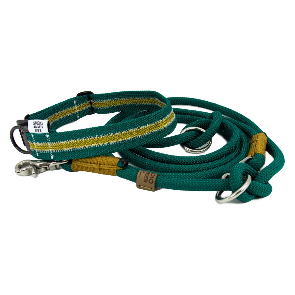 Hundehalsband Tau Racing Green