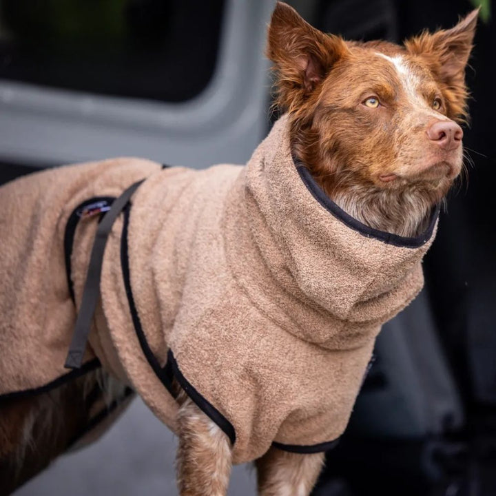 Dog bathrobe rose