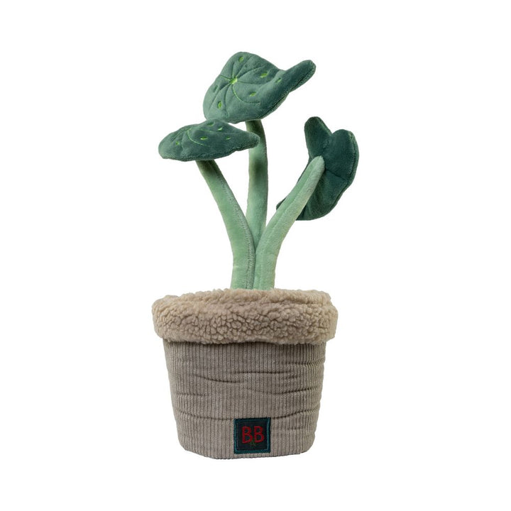 Hundespielzeug Schnüffelpflanze