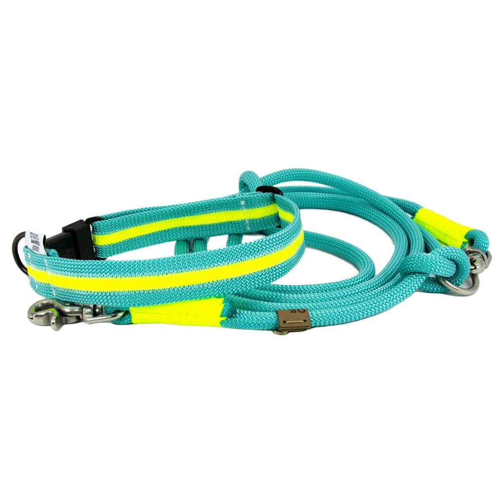 Hundehalsband Tau Ocean Glow