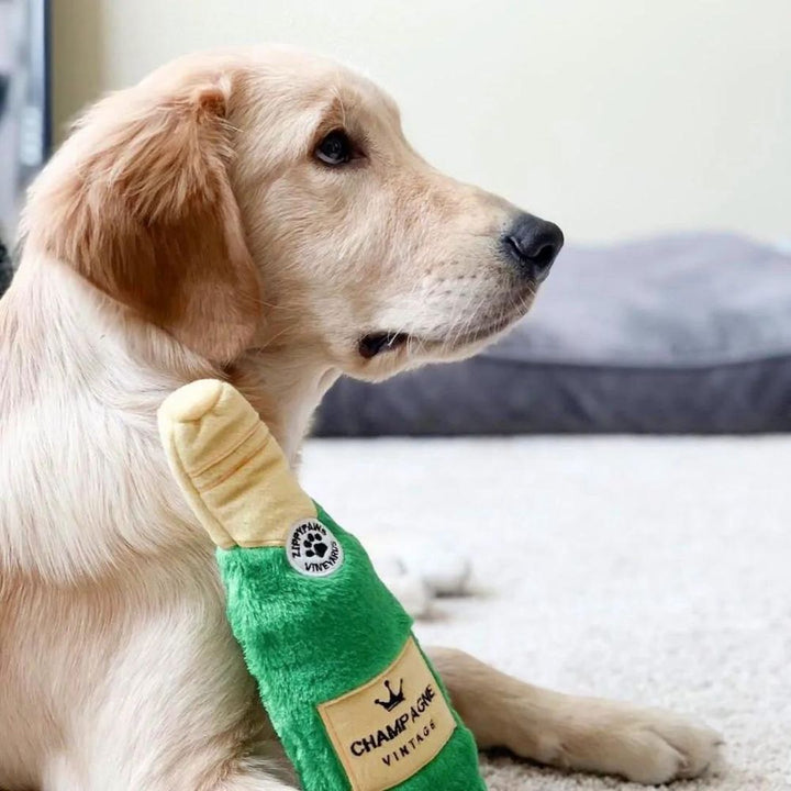 Happy Hour Crusherz Champagne Jetzt erhältlich bei  Dogsmopolitan