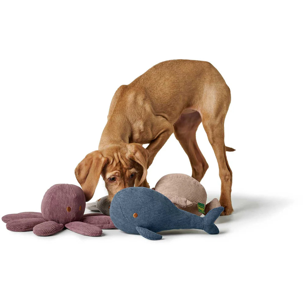 Hundespielzeug Winfried Wal